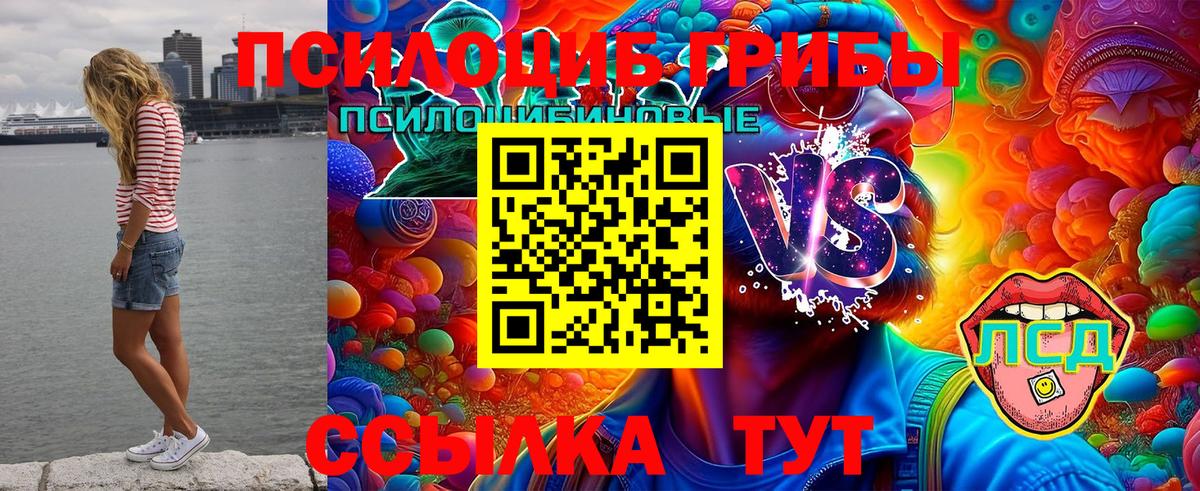 Псилоцибиновые грибы MAGIC MUSHROOMS  Вход с VPN  купить  сайты  Александров 