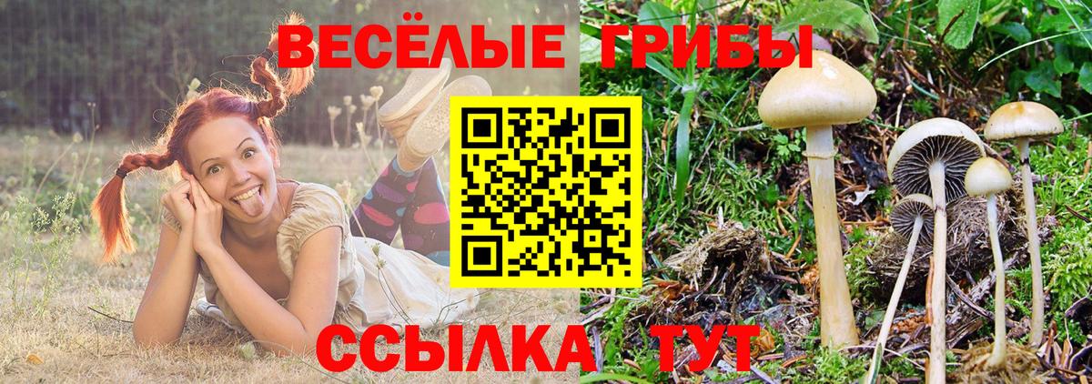 Каннабис  Вход с VPN  Мефедрон кристаллы  MDMA  ЭКСТАЗИ  Александров  ГАШ 