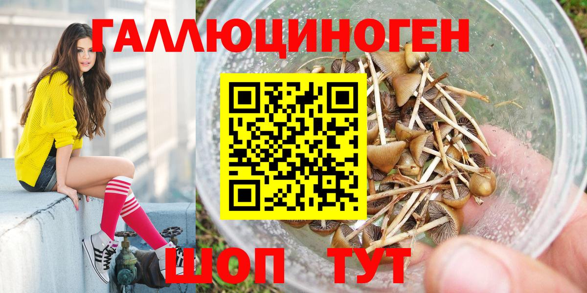 Галлюциногенные грибы ЛСД Александров