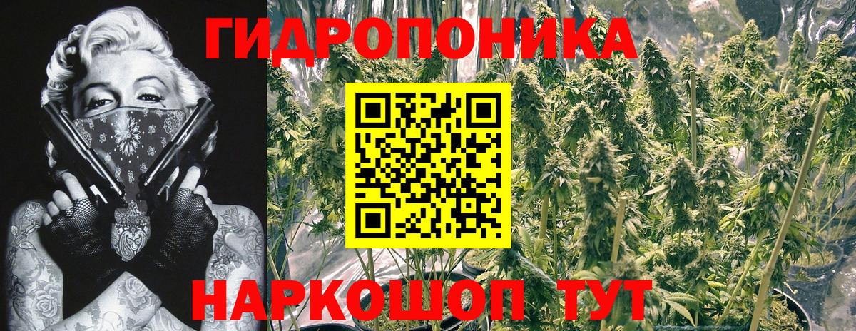Бошки марихуана план Александров